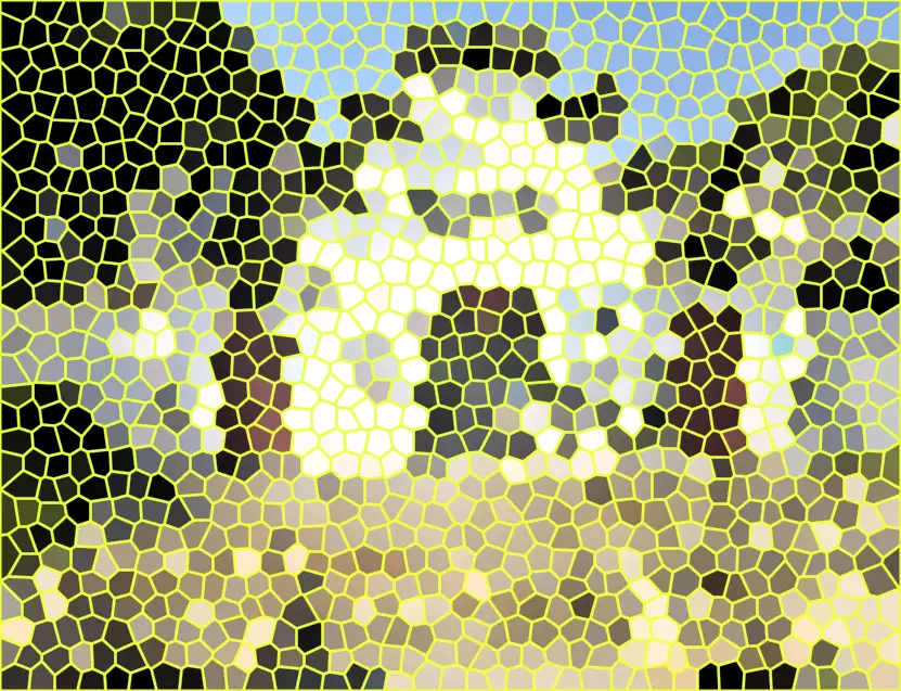 image.webp