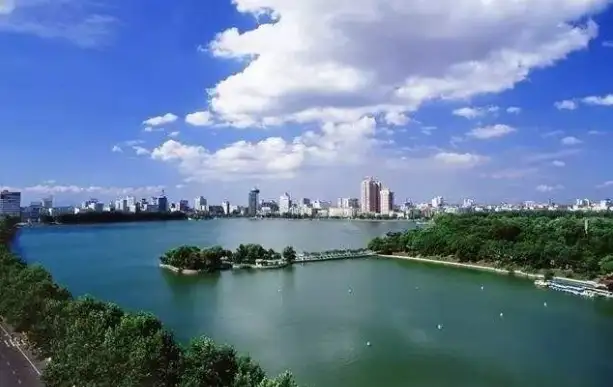 image.webp