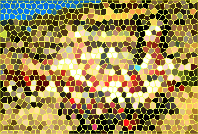image.webp