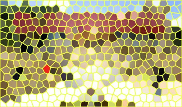 image.webp