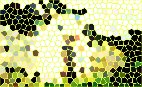 image.webp