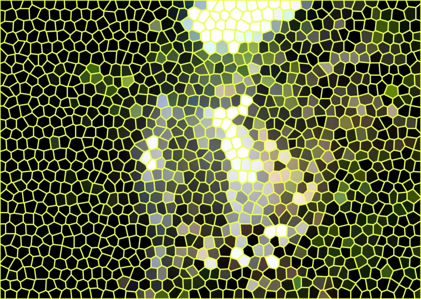 image.webp