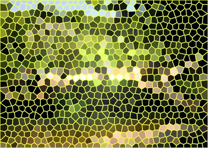 image.webp
