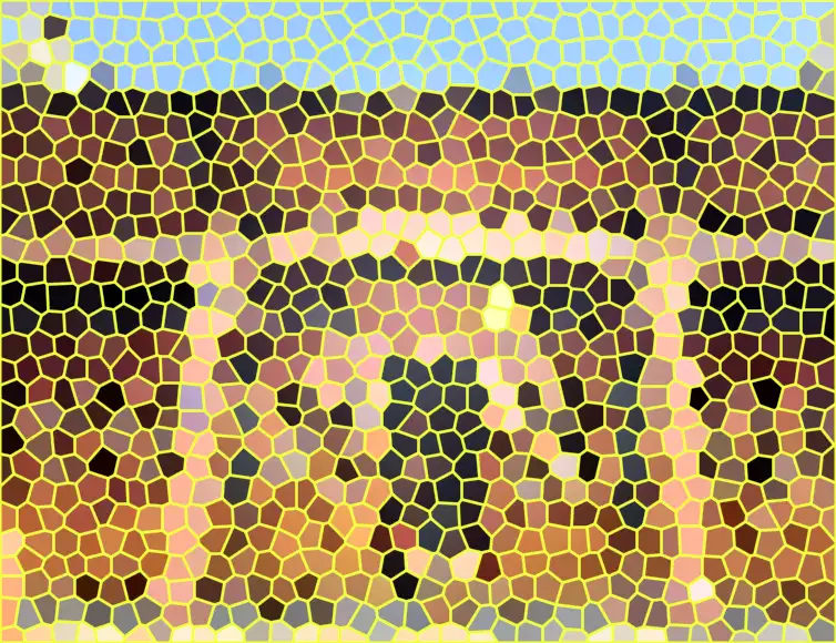 image.webp