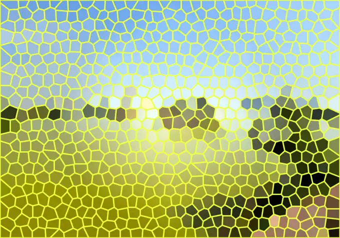 image.webp