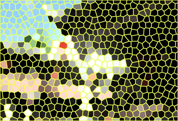 image.webp