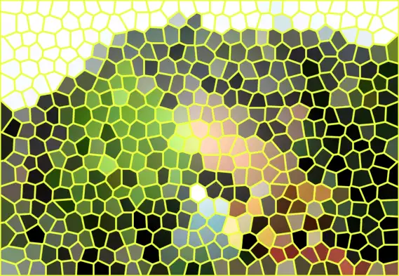 image.webp