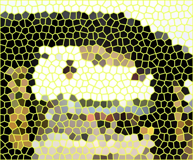image.webp