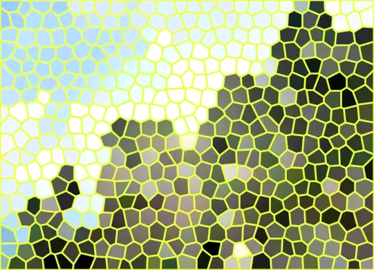 image.webp