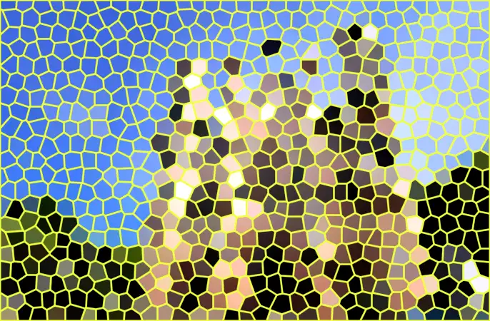image.webp