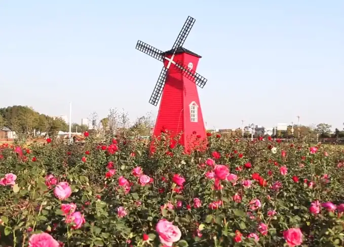 image.webp