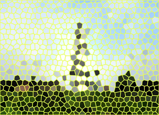 image.webp