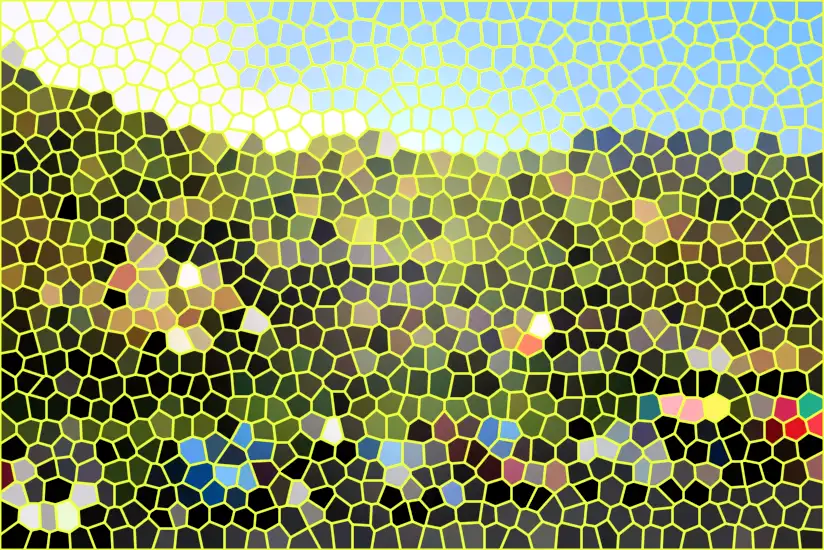 image.webp