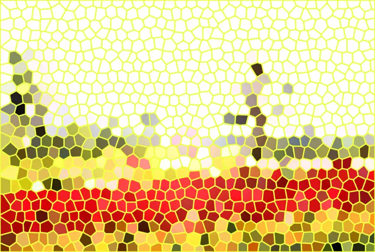 image.webp