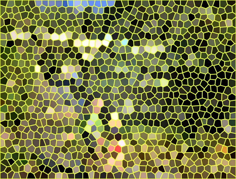 image.webp