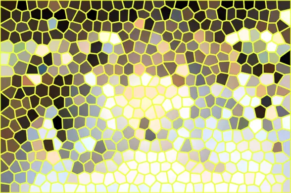 image.webp