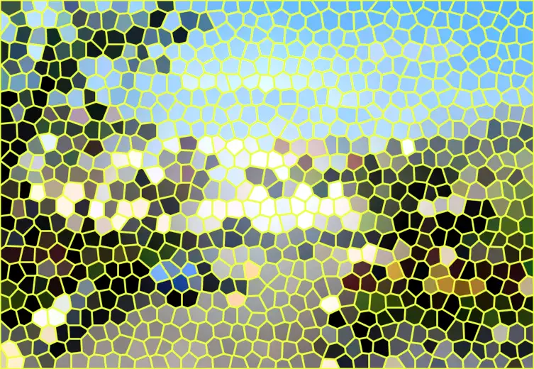 image.webp
