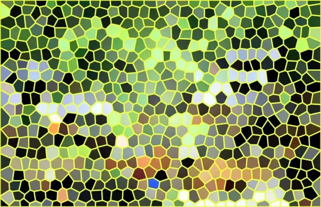 image.webp