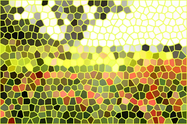 image.webp