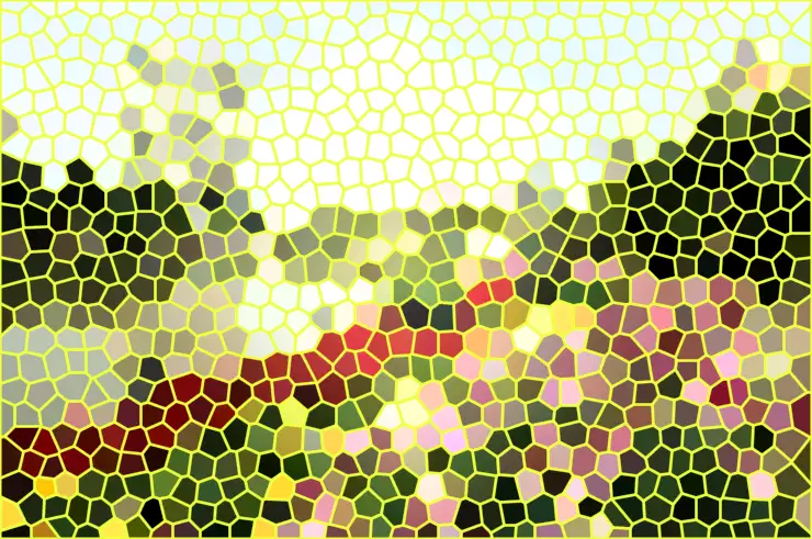image.webp