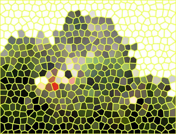 image.webp