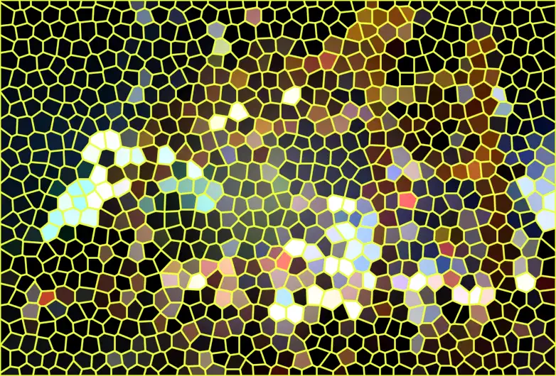 image.webp