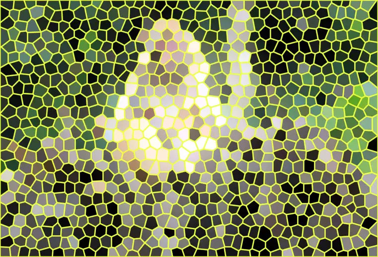 image.webp
