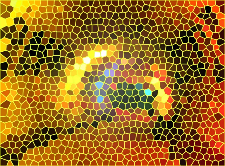 image.webp