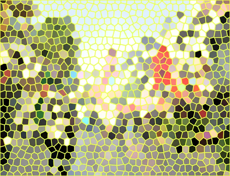 image.webp