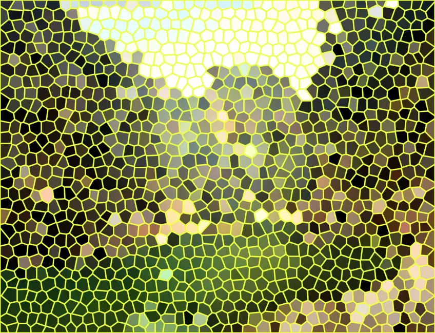 image.webp