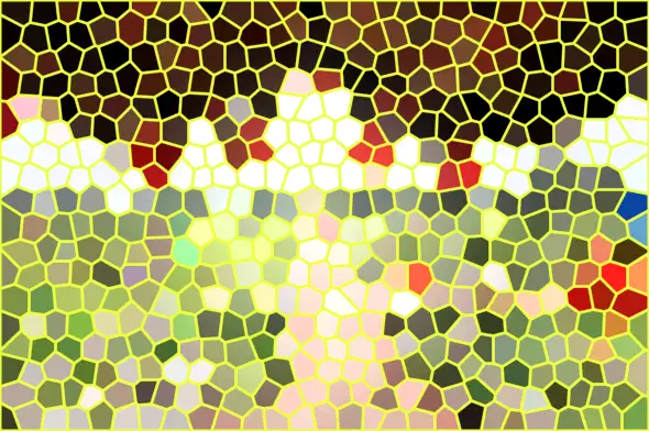 image.webp