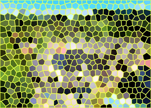 image.webp