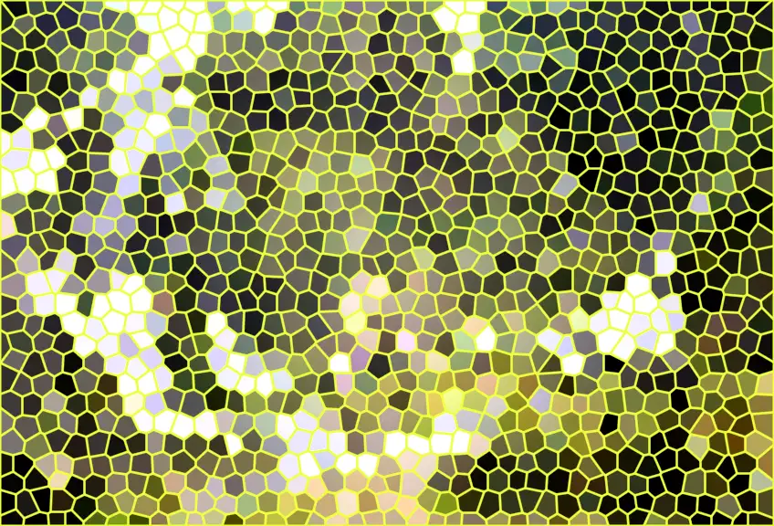 image.webp
