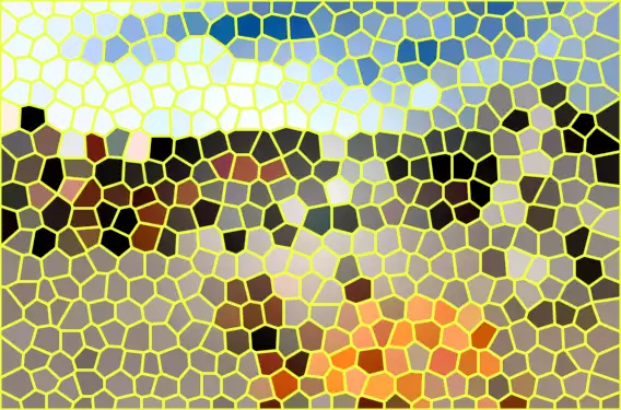 image.webp
