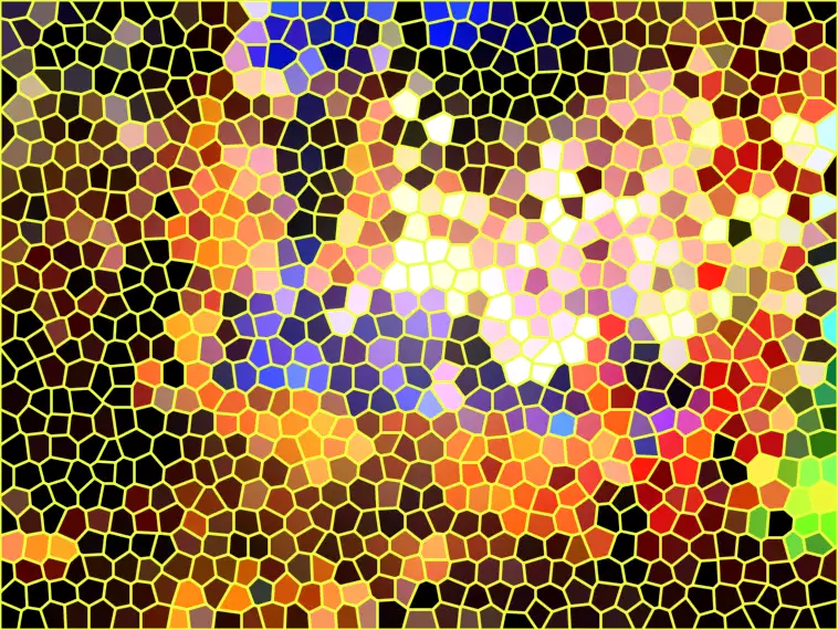 image.webp
