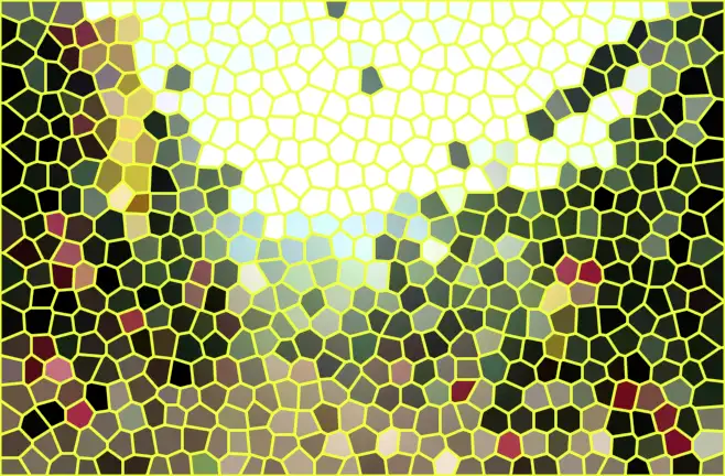 image.webp