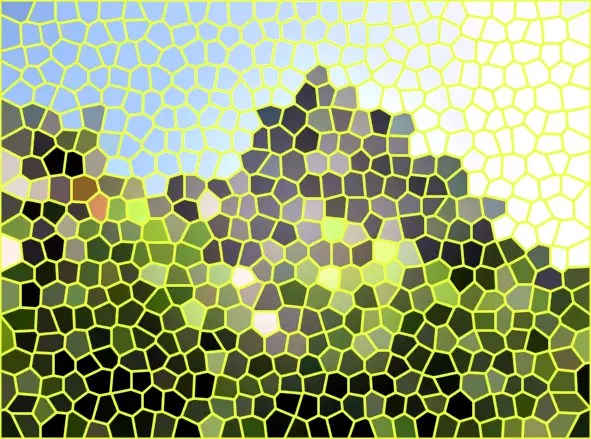 image.webp
