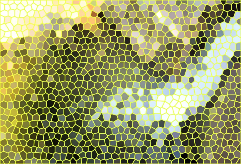 image.webp