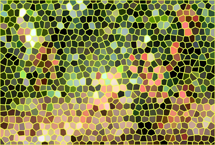 image.webp