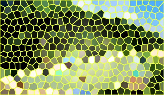 image.webp