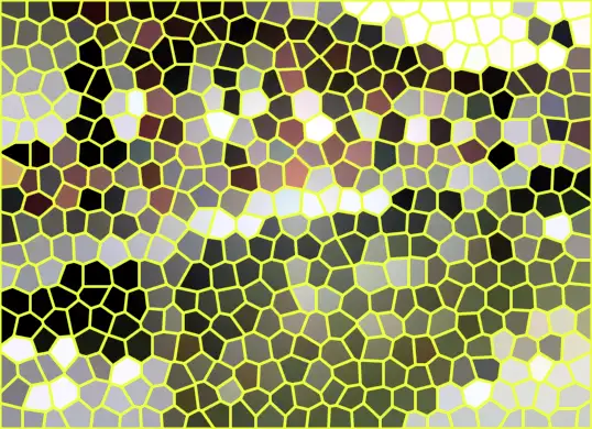 image.webp