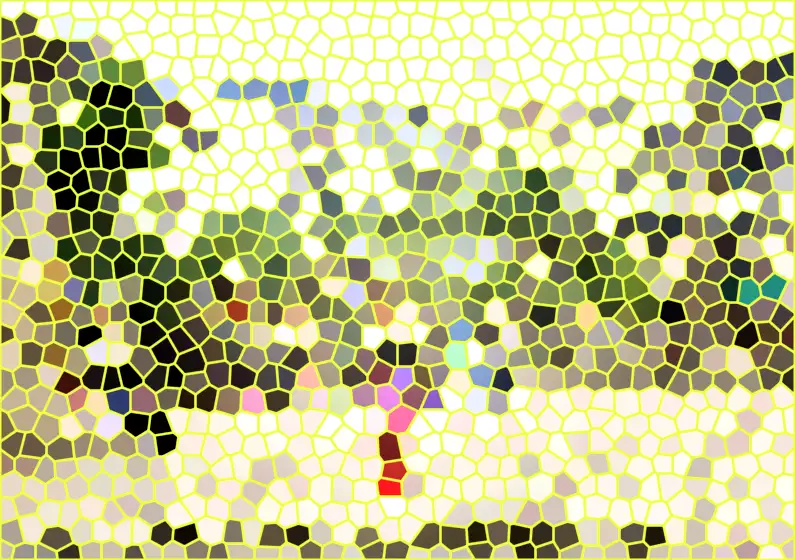 image.webp