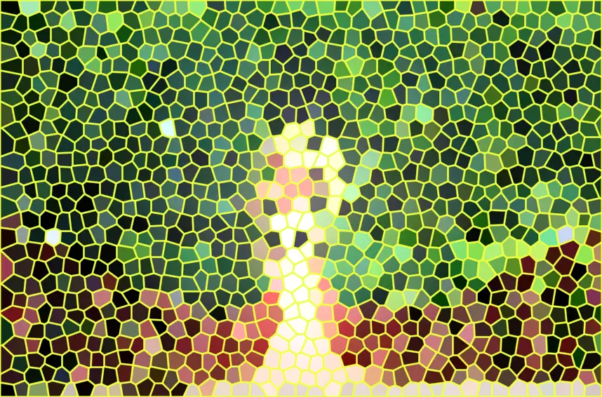 image.webp