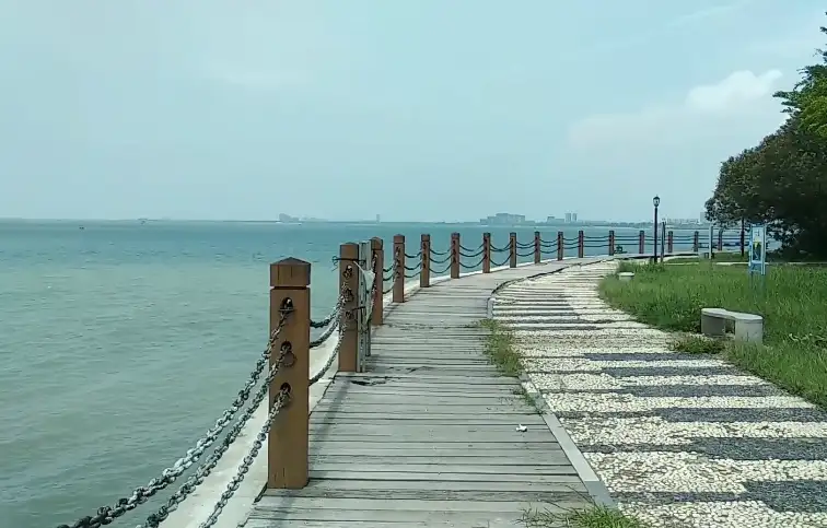 image.webp
