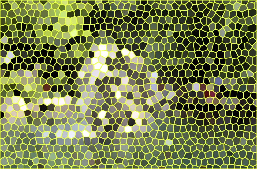 image.webp