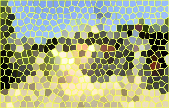 image.webp