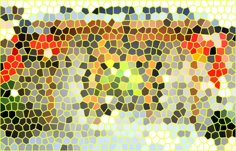 image.webp