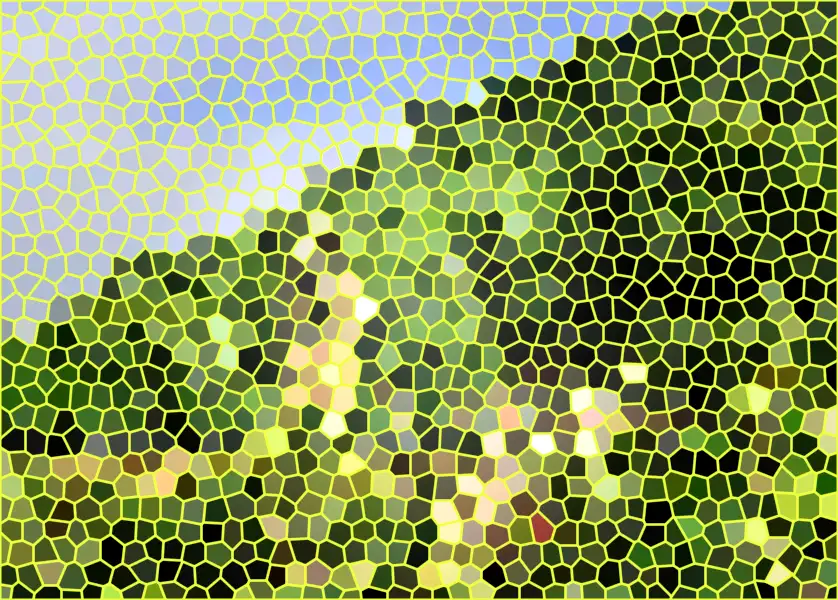 image.webp