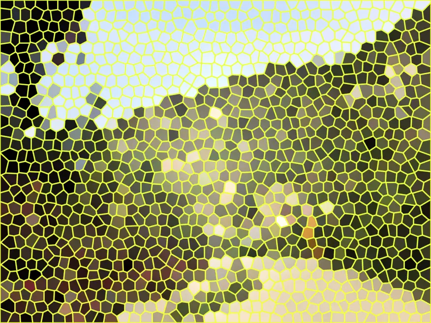 image.webp