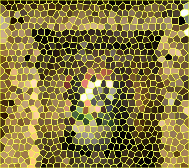 image.webp